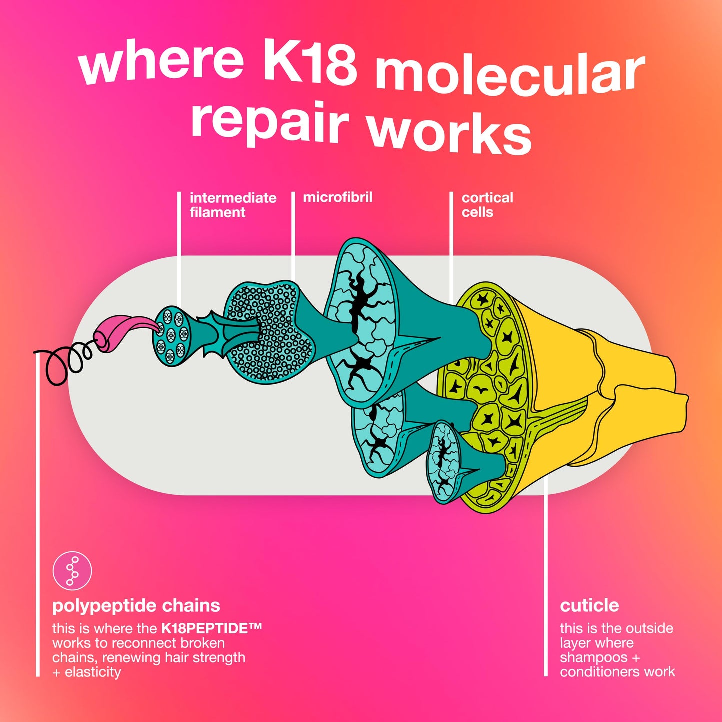 K18 Leave-In Molecular Repair Hair Mask - Peptide Hair Treatment Mask for Bleach, Color, Chemical + Heat Damaged Strands - Immediate + Lasting Damage Reversal in 4 Minutes (0.5 Fl oz)